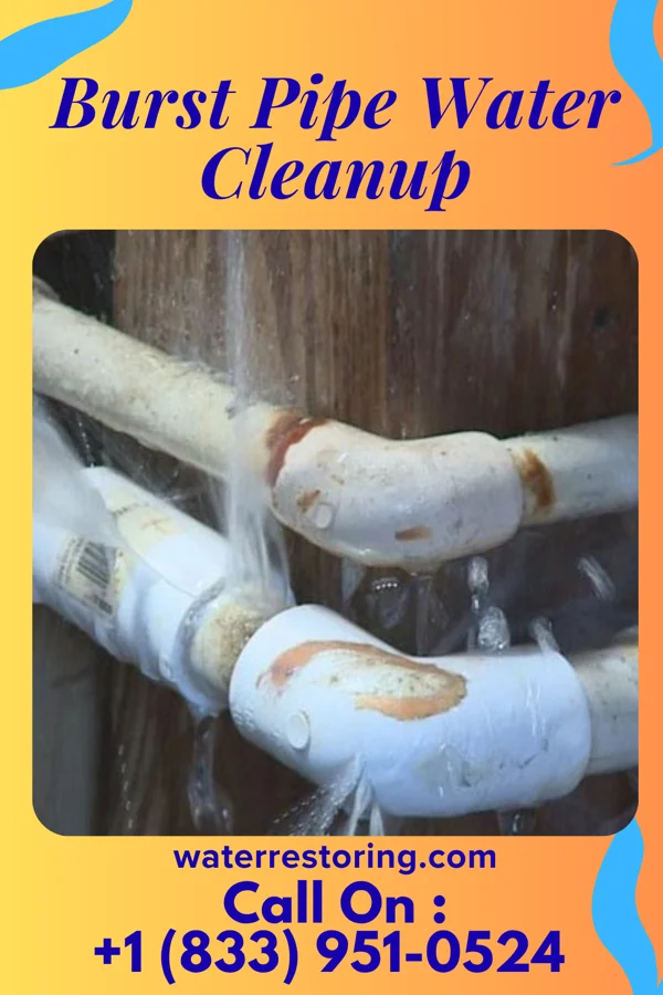 Burst Pipe Water Cleanup in Rocky Fork Point, OH