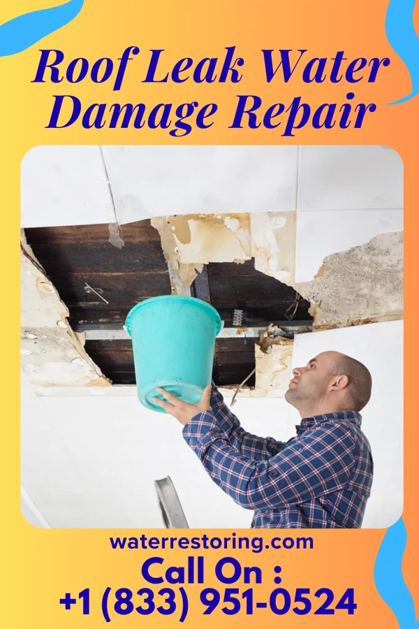 Roof Leak Water Damage Repair in Rocky Fork Point, OH