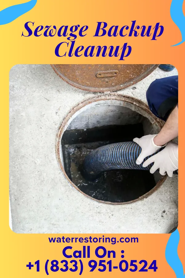 Sewage Backup Cleanup in Rocky Fork Point, OH
