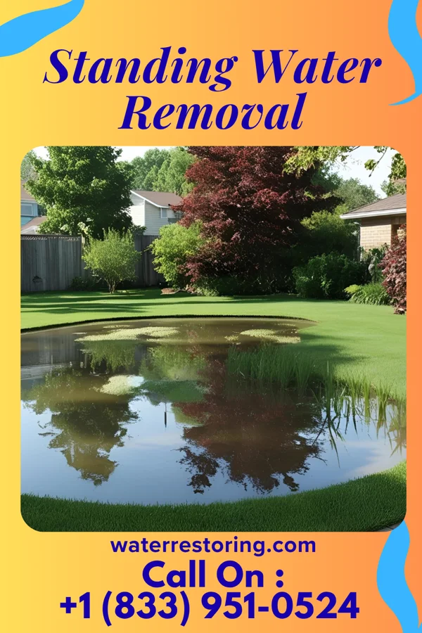 Standing Water Removal in Rocky Fork Point, OH